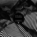 Big Love Remixes [Vinyl]