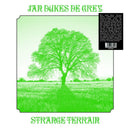 JAN DUKES DE GREY - Strange Terrain |
