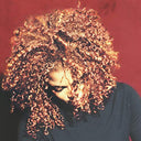 Janet Jackson - The Velvet Rope (2LP) | Mint (M) Mint (M)