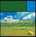 Panisperna |
