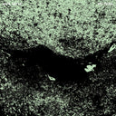 Jaye Jayle - No Trail and Other Unholy Paths [Vinyl]