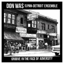 Groove In The Face Of Adversity (VINYL) | Mint (M) Mint (M)