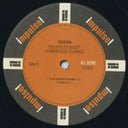 Shabaka Hutchings - Perceive Its Beauty, Acknowledge Its Grace (2xVINYL / VMP) | Mint (M) Mint (M)