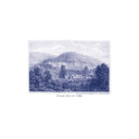 Saint Lawrence | Mint (M) Mint (M)