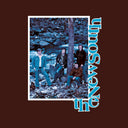 The New South (Expanded) (Root Beer Vinyl) [Vinyl]
