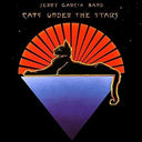 Jerry Garcia Band - Cats Under the Stars (140 Gram Vinyl) [Vinyl]