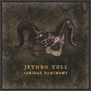 Jethro Tull - Curious Ruminant |