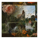 J.G. BIBERKOPF - Ecologies |