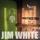 Where It Hits You [CD]