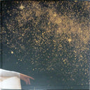 Joanna Newsom - Divers | Mint (M) Mint (M)
