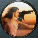 Joanna Newsom - Divers | Mint (M) Mint (M)