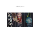 JOE MCPHEE, JEN CLARE PAULSON, BRIAN LABYCZ - The Mystery J |