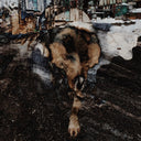 JOE VOLK + NAIARE - Primitive Energetics |