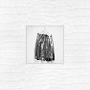 JOHN ROBERTS - Fences |