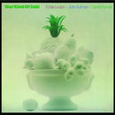 JOHN SURMAN, EDDIE LOUISS, DANIEL HUMAIR - Our Kind Of Sabi |