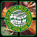 We've Forgotten More Than You'll Ever Know [CD]