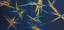 Jon Hopkins - Immunity | Mint (M) Mint (M)