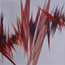 Jon Hopkins - Immunity | Mint (M) Mint (M)