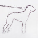 portrait of a dog [CD]