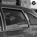 Hejira Demos [Vinyl]