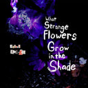 JOSEPH ALLRED - What Strange Flowers Grow in the Shade |