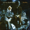 Julia Blair - All Of My Important Things (VINYL) | Mint (M) Mint (M)