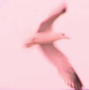 Julia Holter - Maria/2HB |