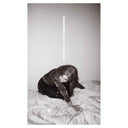 Julia Holter - Materia [CD]