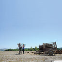 JUNKO & THOMAS TILLY - Wild Protest |