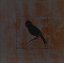 KABOOM KARAVAN - Barra Barra |