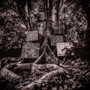 Kamasi Washington - Harmony of Difference (VINYL) | Mint (M) Mint (M)