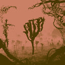 My Dogan |
