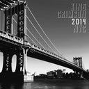 King Crimson - 2014 NYC (200 Gram Vinyl, Gatefold LP Jacket) [Import] (2 Lp's) [Vinyl]