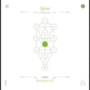 The Book Beri'ah Vol 6-Tiferet [CD]