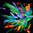Now Here No Where [CD]