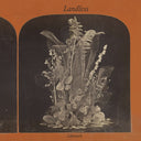 LANDLESS - Luireach [Import] | Mint (M) Mint (M)
