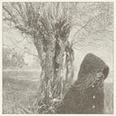 Between the Earth and Sky [CD]