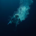 Through Water [CD]