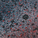 LEITMOTIV LIMBO - Superior State [Vinyl]