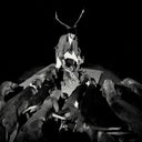 A Night Full Of Collapses [Vinyl]