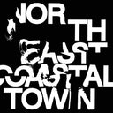 North East Coastal Town [Vinyl]