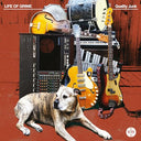 Quality Junk (Indie-Exclusive Colored Vinyl LP) | Mint (M) Mint (M)
