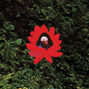 When The Flowers Bloom [Vinyl]