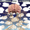 LIZ DURETTE - Primordial Soup |