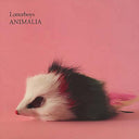 LOTTERBOYS - Animalia [Import] (VINYL) | Mint (M) Mint (M)