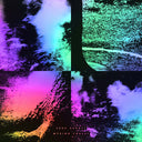 LUKE ABBOTT - Wysing Forest [Vinyl]