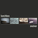 Evolver (CD) | Mint (M) Mint (M)