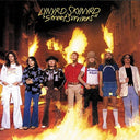 Lynyrd Skynyrd - Street Survivors [Import] | Mint (M) Mint (M)