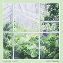 Perfect Shapes [CD]