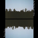 Now That The Light Is Fading (10" Vinyl) | Mint (M) Mint (M)